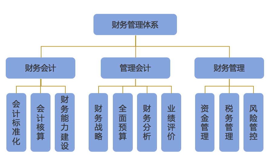 企業(yè)財務(wù)管理(財務(wù)信息化管理)「理臣咨詢」