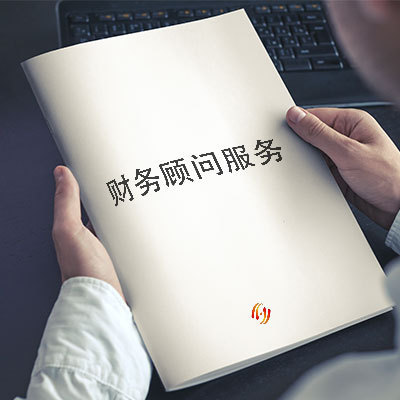 財務顧問公司(實施顧問可以轉(zhuǎn)財務嗎)