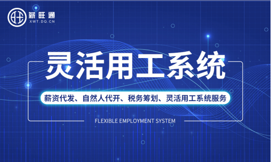 企業(yè)稅務(wù)籌劃技巧(企業(yè)納稅實(shí)務(wù)與籌劃)(圖7)