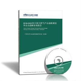 2022-2027年中國天然氣產(chǎn)業(yè)戰(zhàn)略規(guī)劃和企業(yè)戰(zhàn)略咨詢報告