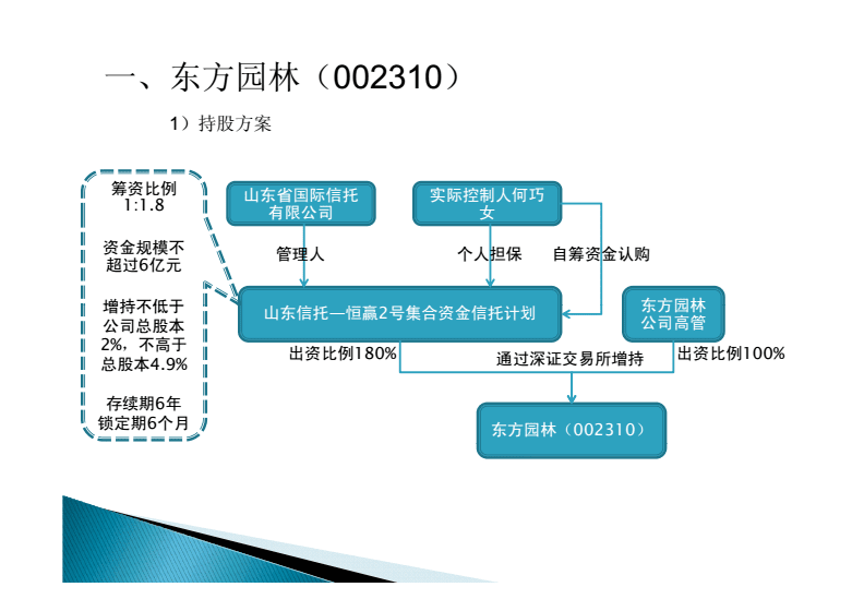 上市公司股權激勵(上市前股權激勵案例)