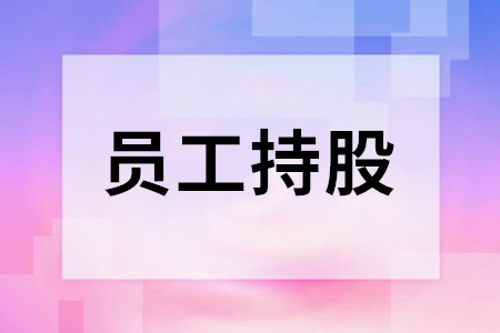 上市公司股權激勵(上市前股權激勵案例)