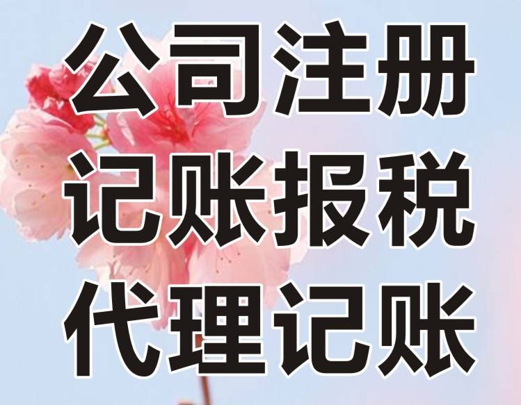 深圳財(cái)務(wù)代理公司(深圳財(cái)華財(cái)務(wù)代理)