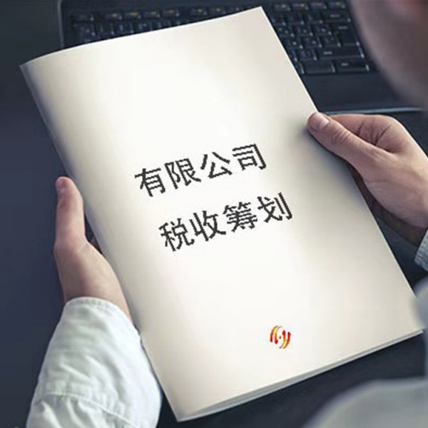 納稅籌劃方案設計(企業(yè)納稅籌劃方案設計： 理論與現(xiàn)實的沖突)